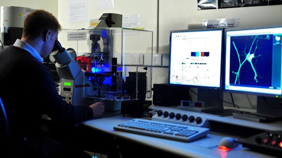 Digital microscope at the School of Biosciences