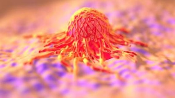 Cancer cell survival puzzle solved
