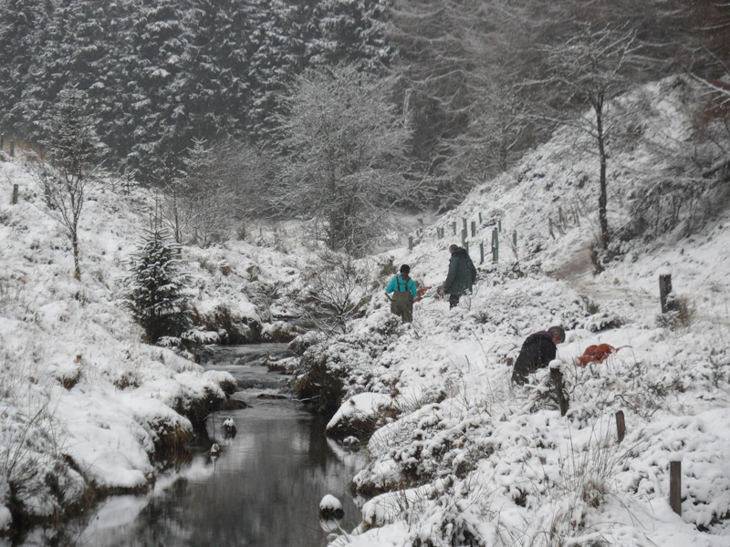 Stream with snow on banks and people collecting biological samples