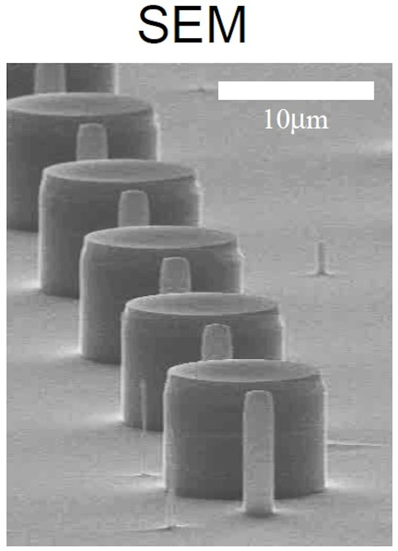 Micropillar SEM