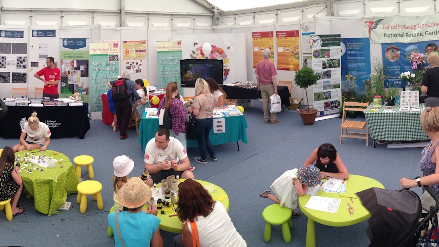 The School of Pharmacy and Pharmaceutical Sciences exhibit National Eisteddfod 2014