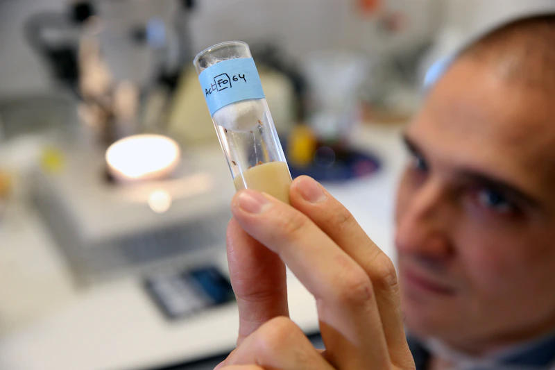 Dr Joaquin de Navascues in fly room