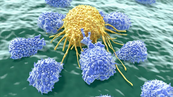 Artist's impression of T-cells attacking cancer