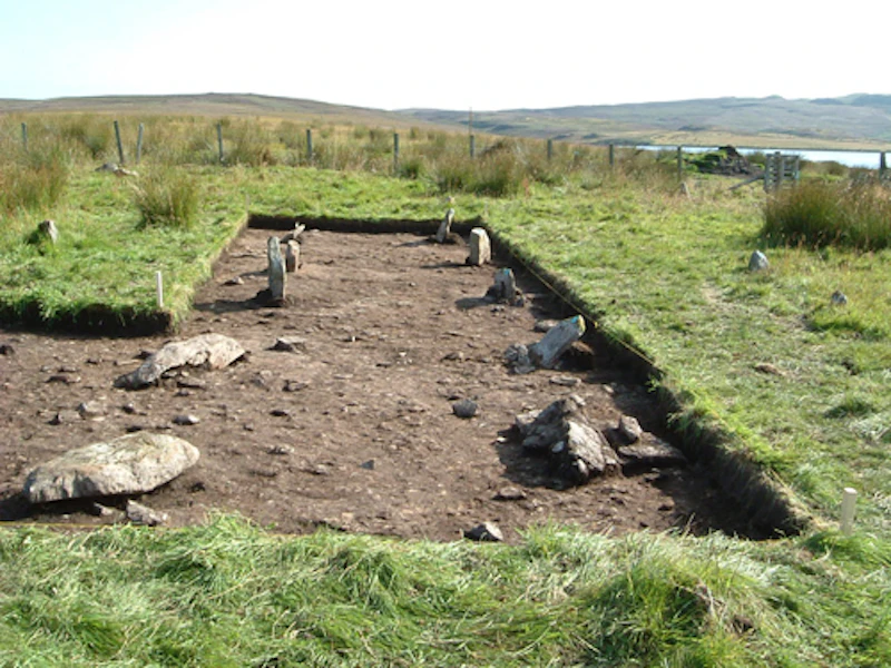 The excavation site where the top layers of grass and soil have been removed to reveal the parallel stone rows. 