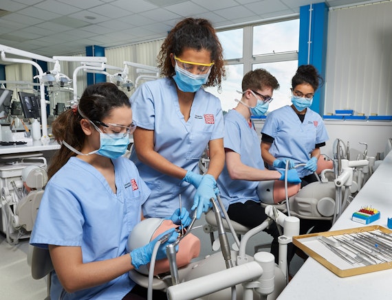 undergraduate dental research opportunities