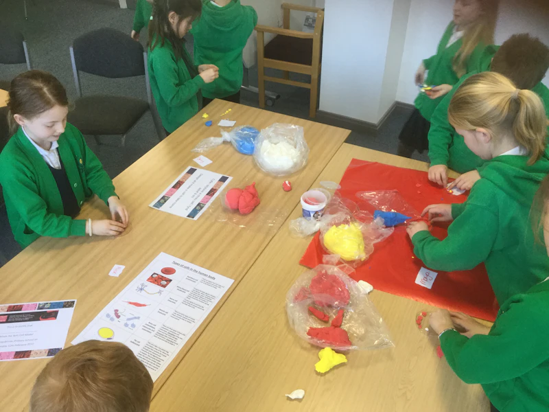 cell making 