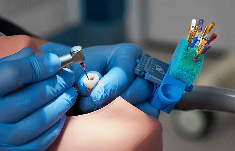  You’ll have access to all of the opportunities and facilities of a university that was rated the top UK Dental School in the 2014 Research Excellence Framework (REF). 
