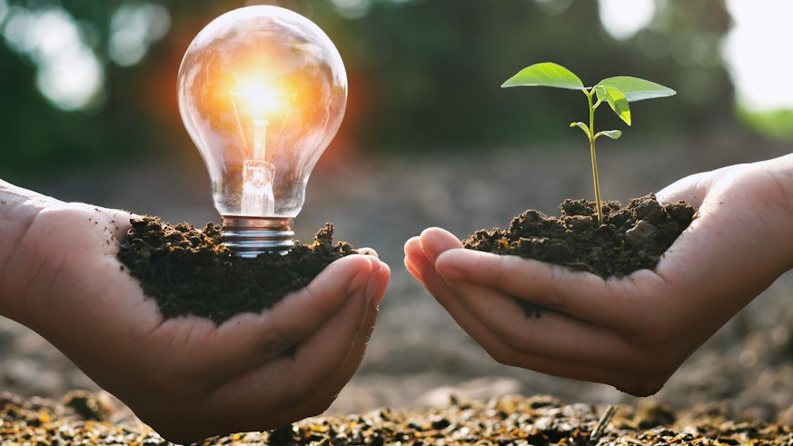 Stock image of person holding lightbulb and sapling in earth