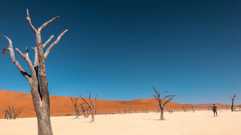 DryAfrica