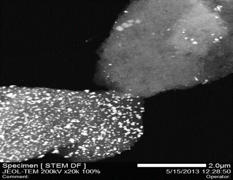 STEM