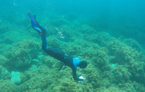 Marine Geography