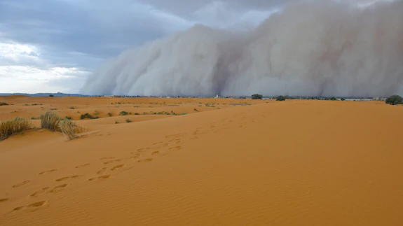A dust storm in the Sahara Desert