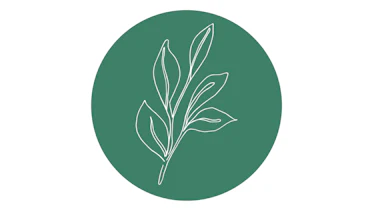Green and Clean