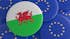 ‘Sub-states in transition’: Scotland and Wales EU strategy analysed by new research