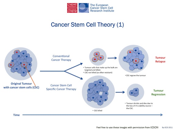 research topics on cancer stem cell