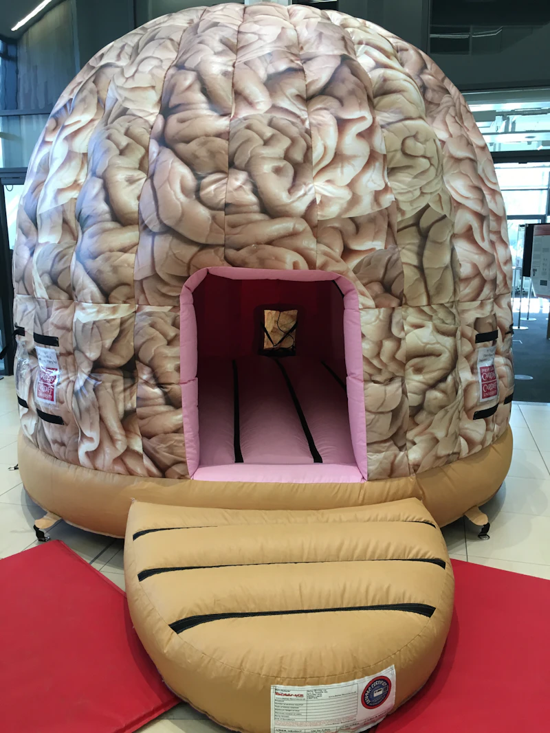 brain dome