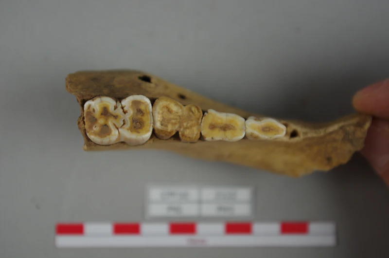 Research at Caerleon