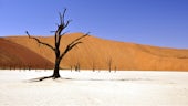 A dry Namibian landscape 