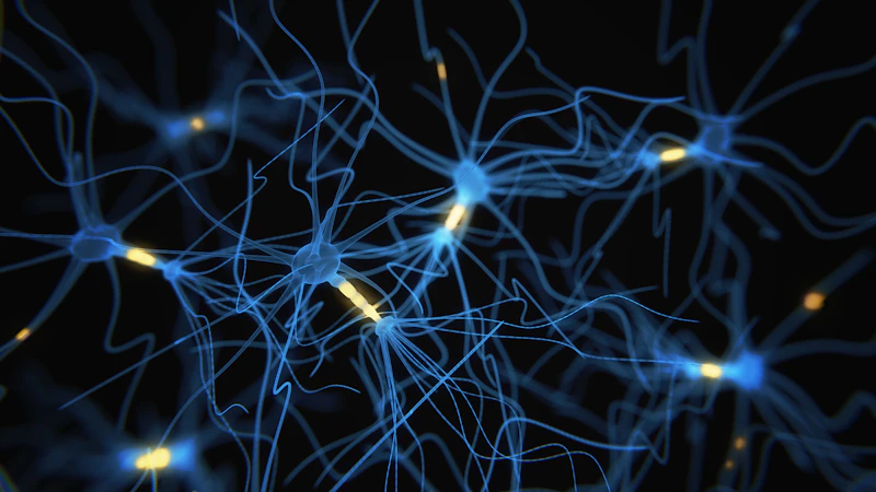 DRI Neurons 