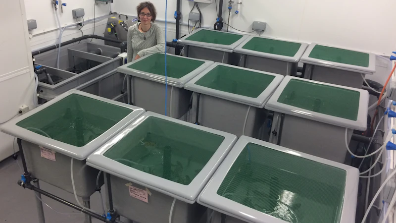 FishFacilitiesRAS