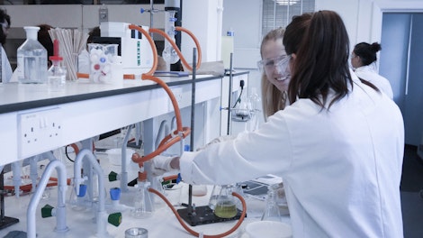 Students work in partners in the lab
