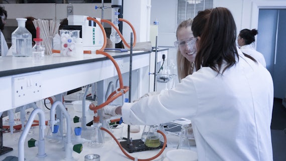 Students work in partners in the lab