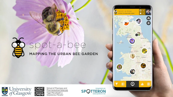 Spot a bee image