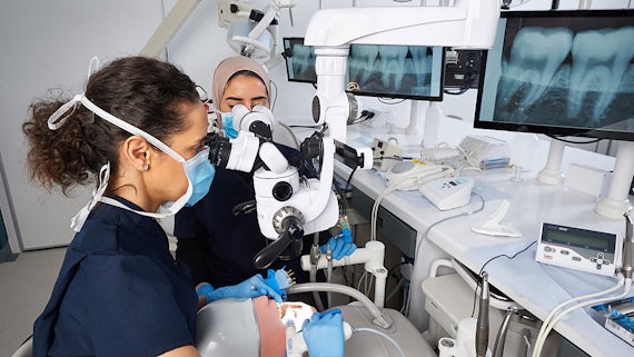 Dentistry students working
