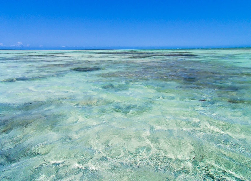 Ocean