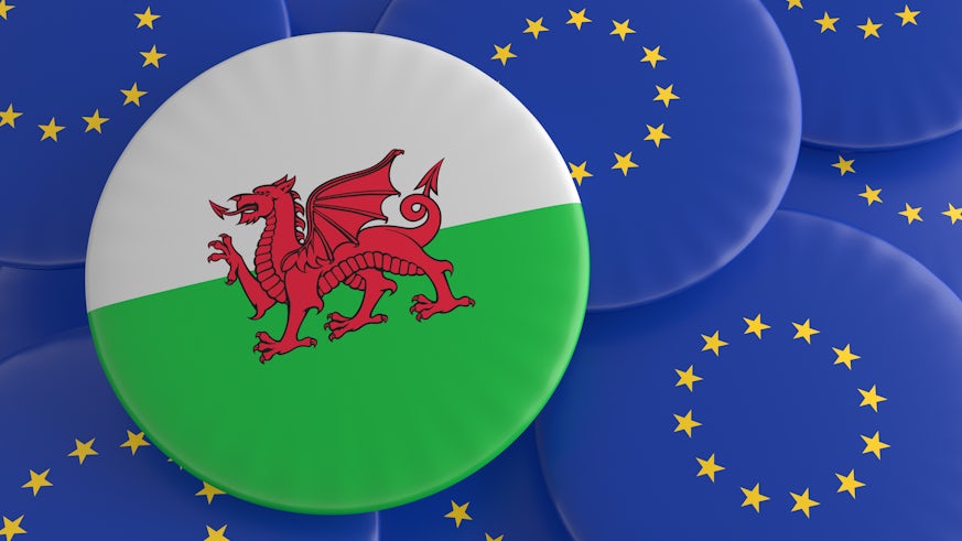 Welsh and EU flags