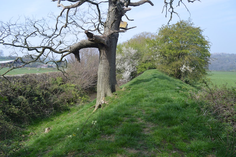 Offa’s Dyke Path at 50
