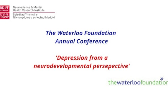 Waterloo Foundation image