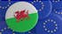Civil Society links strengthened as European Delegation visits Wales