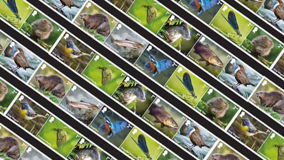 Stamps featuring river wildlife -Stampiau sy'n cynnwys bywyd gwyllt yr afon 