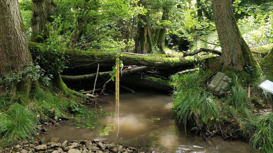 A photograph of a dam structure made of logs in a stream surrounded by scientific instruments to measure water levels. 