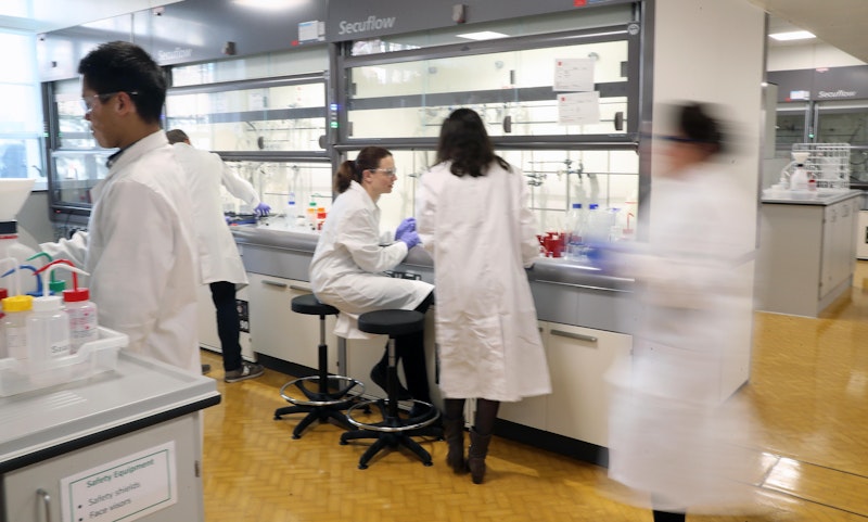 £2.2m funding to find non-addictive painkiller