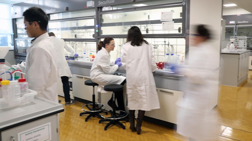 Four scientists at work in a laboratory 