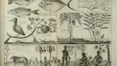 An old print including images of fish, birds, plants, animals, humans and a map
