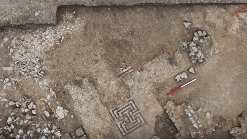 An ancient mosaic discovered in an excavation