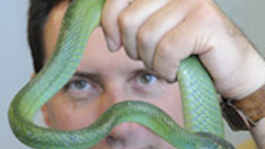 Dr Rhys Jones with a snake