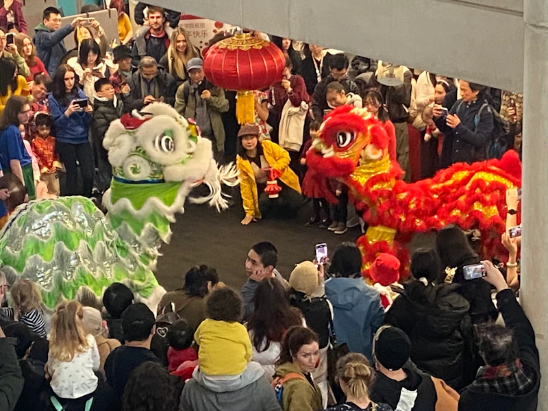 Library – Lion Dance