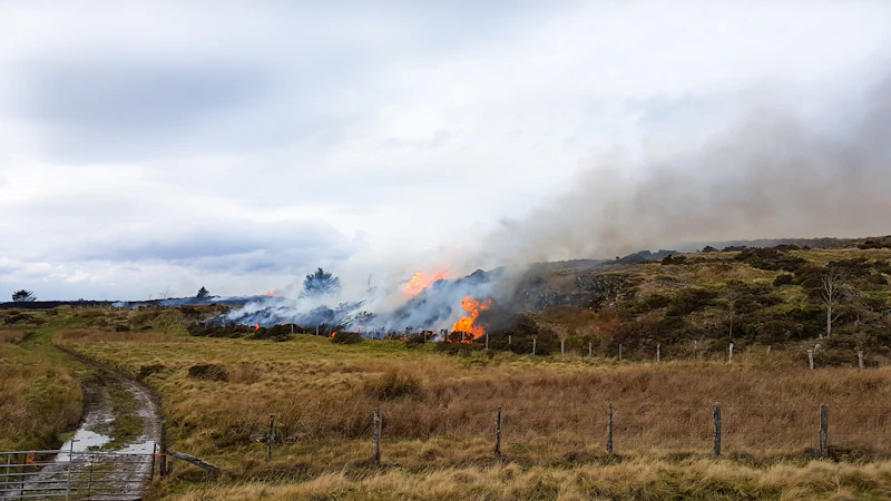 Project aims to help safeguard landscapes, heritage and communities of Gower Peninsula