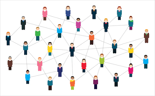 Management, employment and organisation