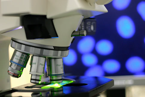 Leukaemic Stem Cells