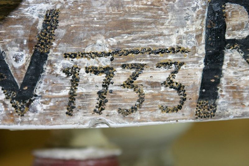 Candelabrum paint detail