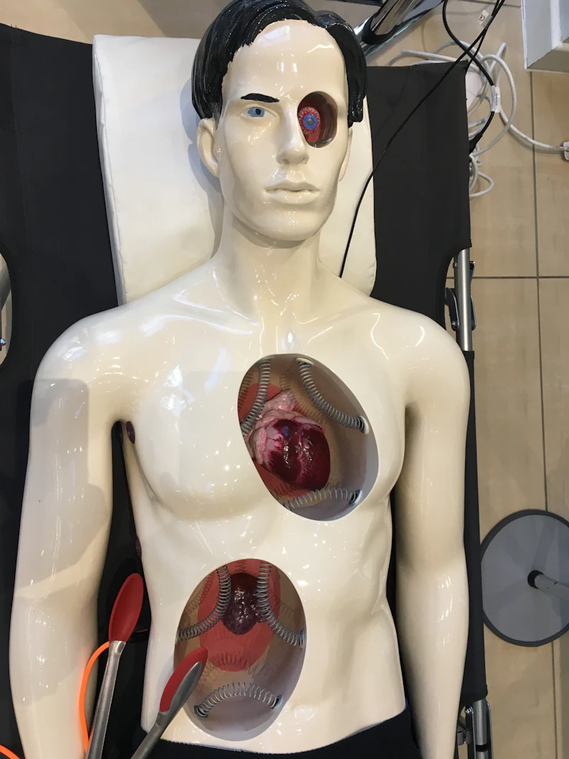 op man torso