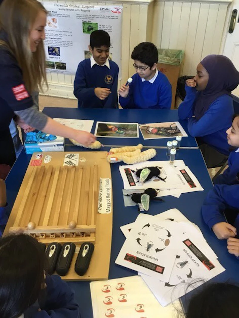 maggot workshop