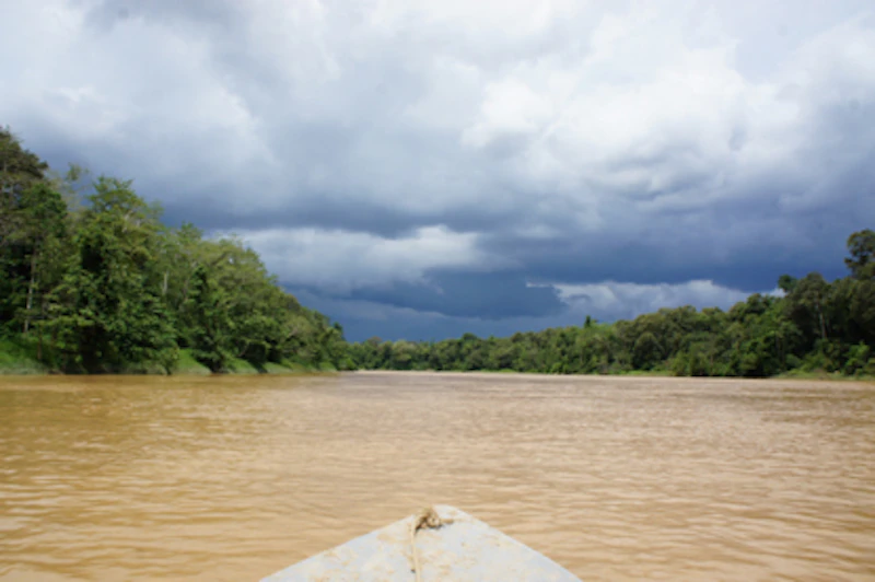 A riverboat on the Kinabatangan River, Borneo