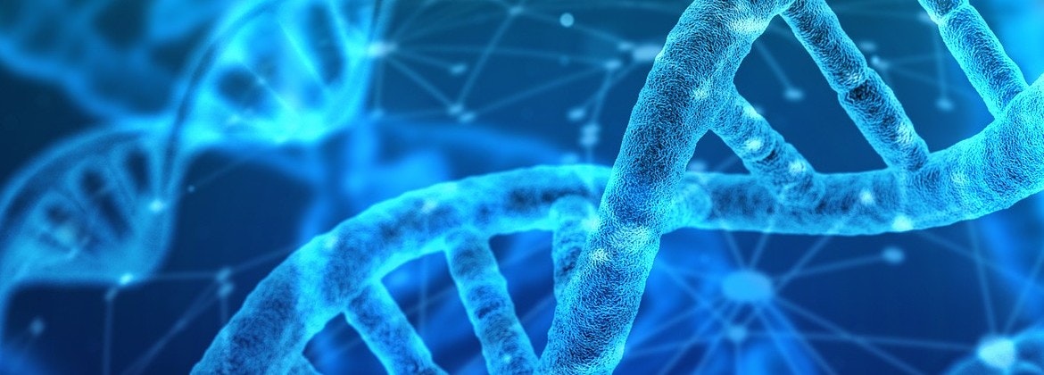 DNA