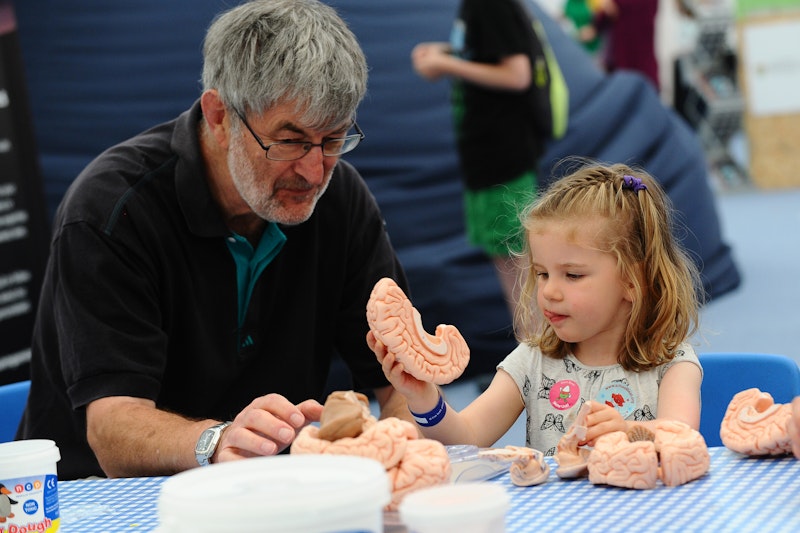 A young girl learns about the brain